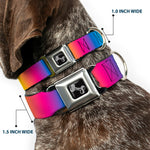 Dog Bone Black/Silver Seatbelt Buckle Collar - Rainbow Ombre