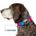 Load image into Gallery viewer, Dog Bone Black/Silver Seatbelt Buckle Collar - Rainbow Ombre