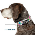 Load image into Gallery viewer, Dog Bone Seatbelt Buckle Collar - Stargazer White/Multi Color