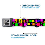 Dog Bone Seatbelt Buckle Collar - Squares Black/Multi Color