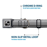 Dog Bone Seatbelt Buckle Collar - Stripe Transition Black/White