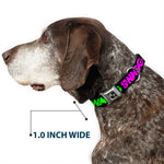 Dog Bone Seatbelt Buckle Collar - SWAGG Black/Hot Pink/Turquoise/Purple/Neon Green