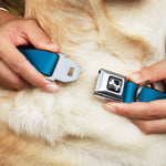 Dog Bone Seatbelt Buckle Collar - Turquoise