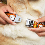 Dog Bone Seatbelt Buckle Collar - Take Out/Fortune Cookies Orange