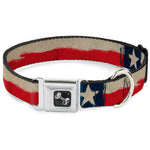 Dog Bone Seatbelt Buckle Collar - Texas Flag CLOSE-UP Distressed Painting