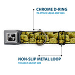 Buckle-Down Seatbelt Buckle Dog Collar - Vivid Marijuana Nugs2 Stacked