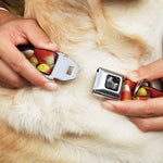 Dog Bone Black/Silver Seatbelt Buckle Collar - Vivid Candy Corn Stacked