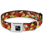 Dog Bone Black/Silver Seatbelt Buckle Collar - Vivid Candy Corn Stacked
