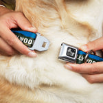 Dog Bone Seatbelt Buckle Collar - Vivid HOLLYWOOD Sign