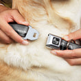 Load image into Gallery viewer, Dog Bone Seatbelt Buckle Collar - Vivid SANTA MONICA Pier Skyline Grays/White