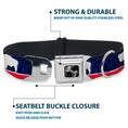 Load image into Gallery viewer, Dog Bone Seatbelt Buckle Collar - Wyoming Flags/WYOMING Typography