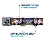 Dog Bone Seatbelt Buckle Collar - Washington MT. RAINIER Valley Landscape