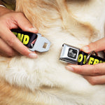 Dog Bone Seatbelt Buckle Collar - YOUR BOYFRIEND LOVES ME w/Kiss Black/Neon