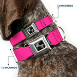 Dog Bone Seatbelt Buckle Collar - YOUNG WILD AND FREE Pink/White/Blue/Yellow/Green