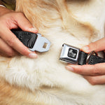 Dog Bone Seatbelt Buckle Collar - Zebra Head Black/Gray