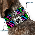 Dog Bone Seatbelt Buckle Collar - Zebra Black/Blue/Green/Pink/Purple