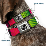 Dog Bone Seatbelt Buckle Collar - Zarape7 Vertical Pinks/Blues/Greens/Black