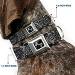 Dog Bone Seatbelt Buckle Collar - Bandana/Skulls Silver/Black
