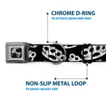 Buckle-Down Seatbelt Buckle Dog Collar - Brass Knuckles Black/White