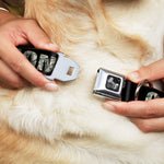 Dog Bone Seatbelt Buckle Collar - CASH MONEY $ Black/Dollars