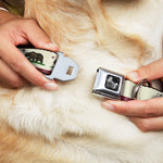 Dog Bone Seatbelt Buckle Collar - California Flag Bear Weathered White