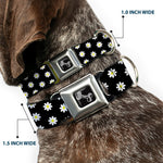 Dog Bone Black/Silver Seatbelt Buckle Collar - Daisies Scattered Black/White/Yellow