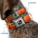 Dog Bone Black/Silver Seatbelt Buckle Collar - Dallas-Raleigh-Tennessee-Austin-Boston Stripes Browns/Black