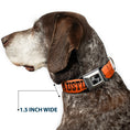 Load image into Gallery viewer, Dog Bone Black/Silver Seatbelt Buckle Collar - Dallas-Raleigh-Tennessee-Austin-Boston Stripes Browns/Black