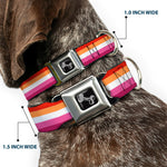 Dog Bone Black/Silver Seatbelt Buckle Collar - Flag Lesbian Five Stripe Oranges/White/Pinks