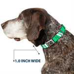 Dog Bone Seatbelt Buckle Collar - Hash Mark Stripe Double Green/Silver