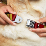 Dog Bone Seatbelt Buckle Collar - Hash Mark Stripe Double Maroon/Gold