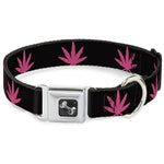 Buckle-Down Seatbelt Buckle Dog Collar - Marijuana Leaf Repeat Black/Pink