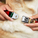 Dog Bone Seatbelt Buckle Collar - Mexico Flag Distressed Painting