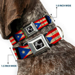 Dog Bone Seatbelt Buckle Collar - Puerto Rico Flag Weathered