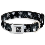 Buckle-Down Seatbelt Buckle Dog Collar - Pot Leaves/Smoke Black/Gray/White