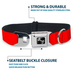 Dog Bone Black/Silver Seatbelt Buckle Collar - Pet Quote CAUTION Red/White