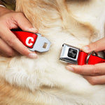 Dog Bone Black/Silver Seatbelt Buckle Collar - Pet Quote CAUTION Red/White