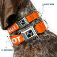Load image into Gallery viewer, Dog Bone Black/Silver Seatbelt Buckle Collar - Pet Quote DO NOT PET Orange/White