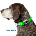 Load image into Gallery viewer, Dog Bone Black/Silver Seatbelt Buckle Collar - Pet Quote FRIENDLY Green/White