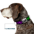 Load image into Gallery viewer, Dog Bone Seatbelt Buckle Collar - SWAGG Black/Zebra Multi Neon
