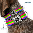 Load image into Gallery viewer, Dog Bone Seatbelt Buckle Collar - Stripes Purple/Orange/Green/Yellow/Pink/Blue