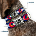 Load image into Gallery viewer, Dog Bone Seatbelt Buckle Collar - Colorado Flag/Snowboarder Weathered