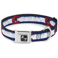 Load image into Gallery viewer, Dog Bone Seatbelt Buckle Collar - Colorado Flag/Snowboarder Weathered