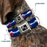 Dog Bone Seatbelt Buckle Collar - Colorado Snowboarder/Snowy Mountains Weathered