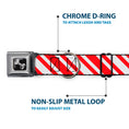 Load image into Gallery viewer, Dog Bone Seatbelt Buckle Collar - Candy Cane3 Stripe White/3-Red