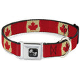 Load image into Gallery viewer, Dog Bone Seatbelt Buckle Collar - Canada Flag Painted