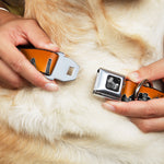 Dog Bone Seatbelt Buckle Collar - San Francisco Vivid Skyline Orange Fade/Black