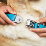 Dog Bone Seatbelt Buckle Collar - Solid Water Blue