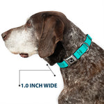 Dog Bone Seatbelt Buckle Collar - Cacti1 Aqua Blues