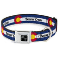 Load image into Gallery viewer, Dog Bone Black/Silver Seatbelt Buckle Collar - Colorado BEAVER CREEK Flag Blue/White/Red/Yellow